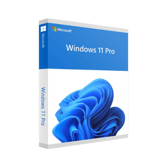 Windows 11 Pro Upgrade - Main View