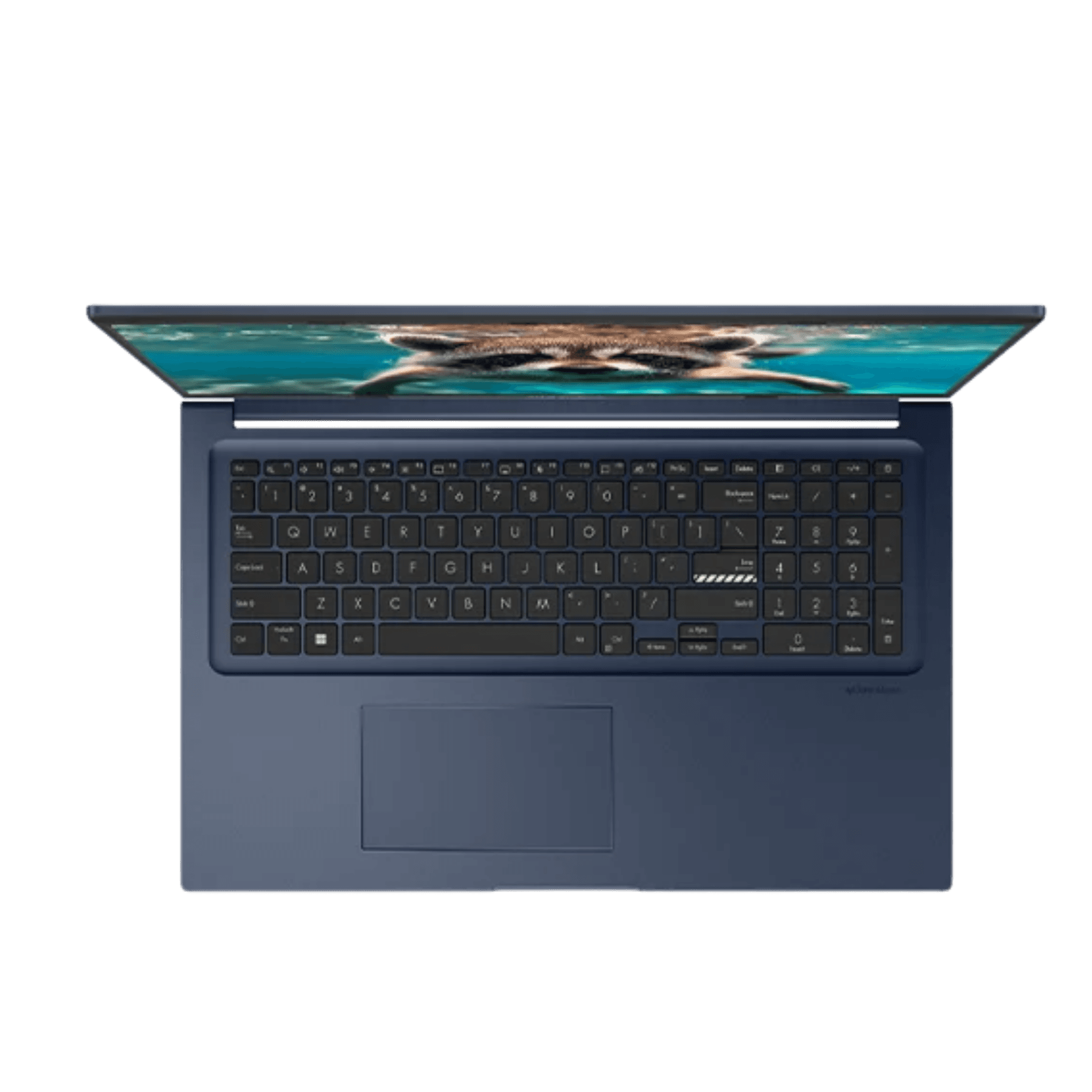 ASUS Vivobook X1404V Laptop Intel Core i7-1354U 13th Gen 12GB RAM 512GB SSD 14" Windows 11 Home - Angle 2