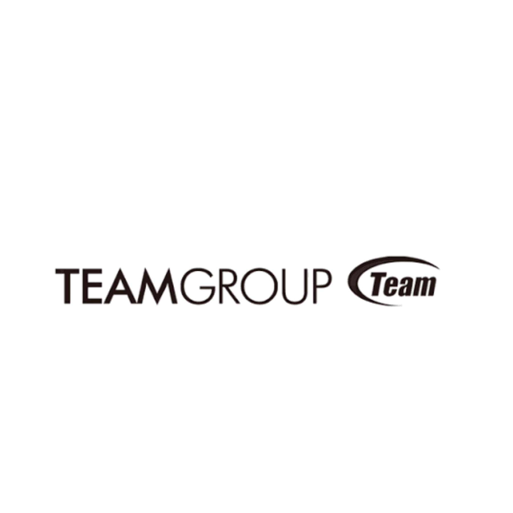 Teamgroup logo